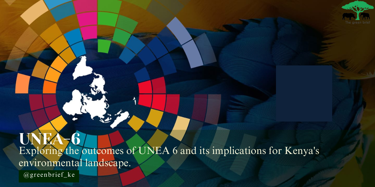 Recap Of UNEA 6: Addressing Planetary Crises And Implications For ...